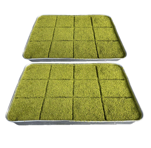 [100160] Moda Kataifi, Cold Milky with Pistachio, 7.5lbs (3400g) x 5pack - 100160